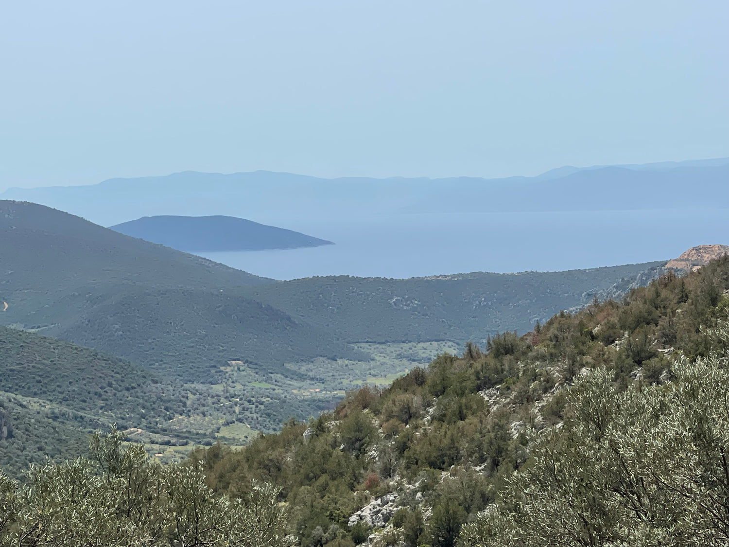 Bring the flavors of Greece to your table with Olive Crate